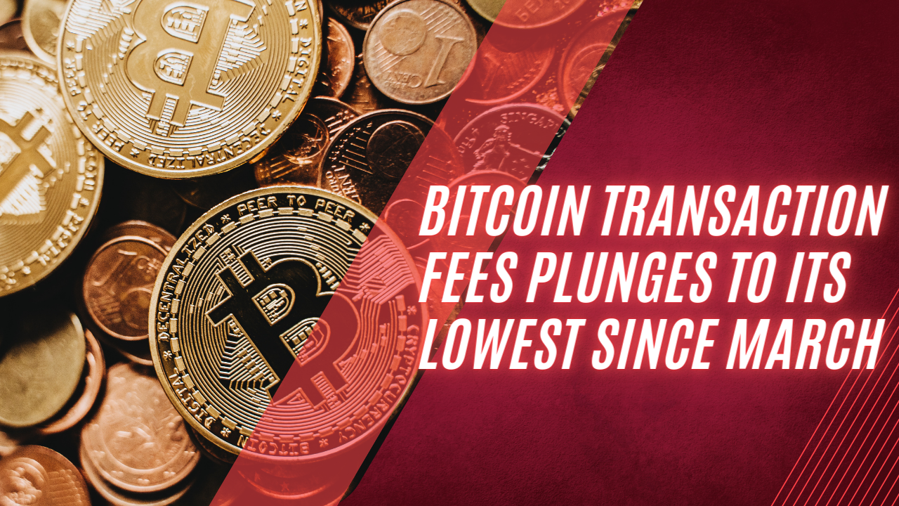 Bitcoin Transaction Fees Plunges To Its Lowest Since